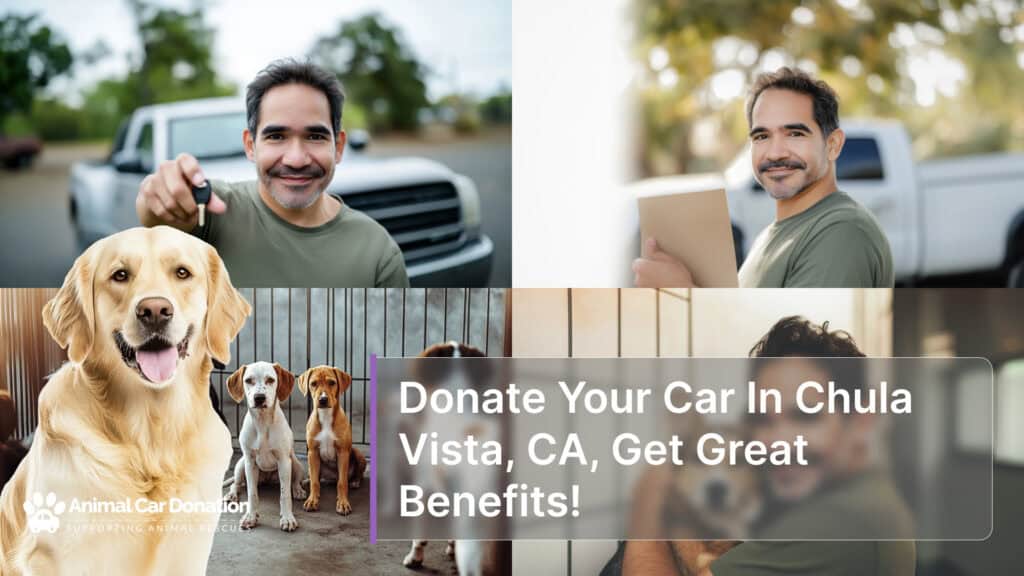 Donate Your Car In Chula Vista, CA, Get Great Benefits!